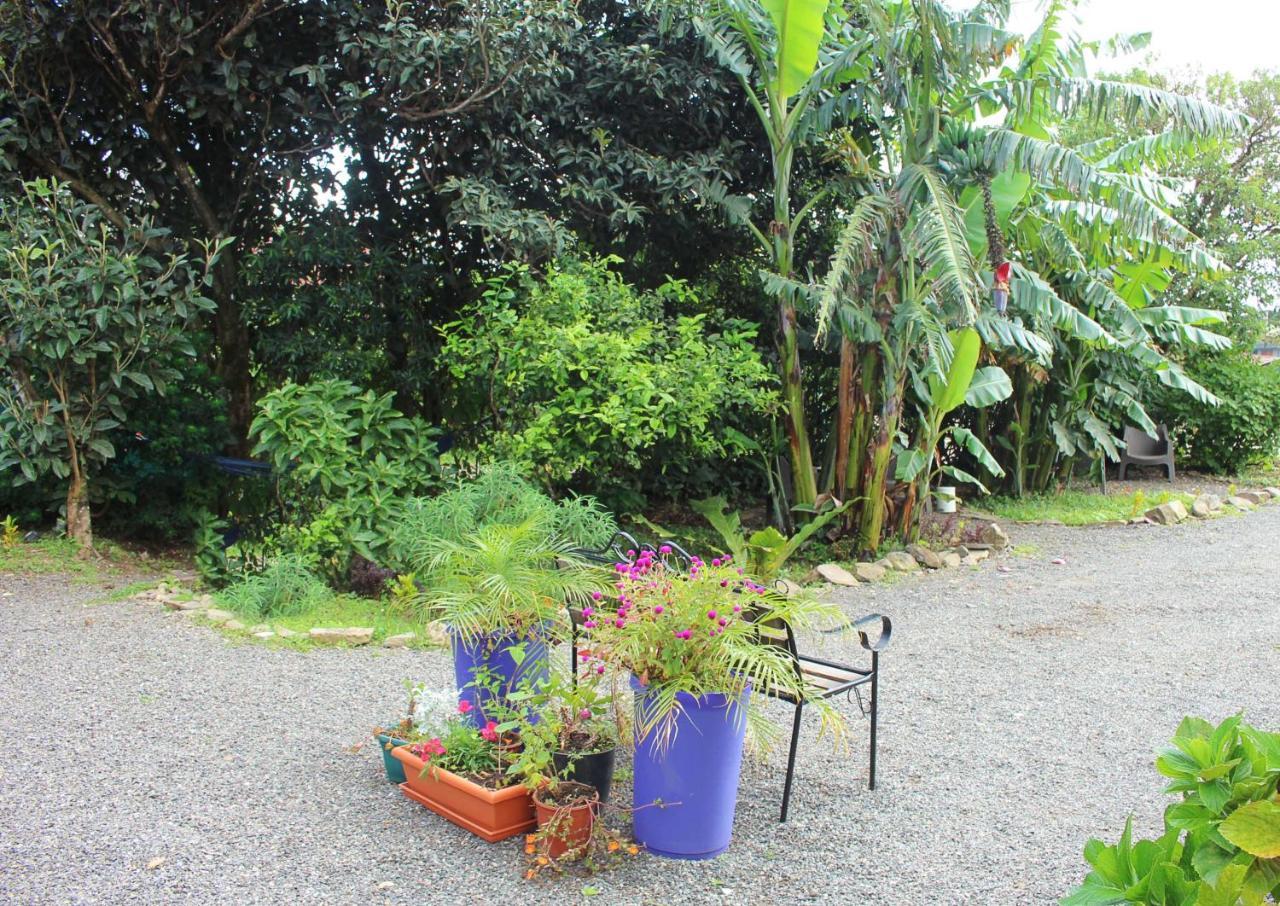 Casa Jungle Monteverde B&B Extérieur photo